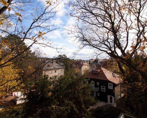 29 EFH Gogolgasse Wien_BlickvomBalkon1