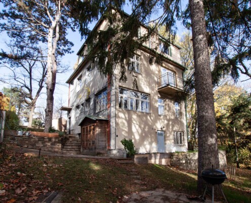 33 EFH Gogolgasse Wien_Haus