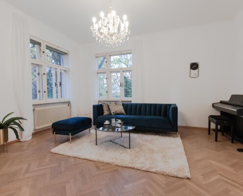 8 EFH Gogolgasse Wien_WZ1